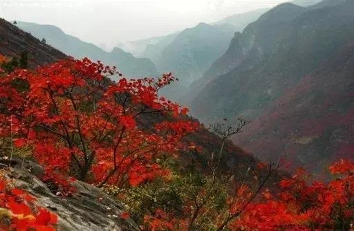 Ҷ軨 ѩ֣ ,ѩ, ִʫ 143635ovqmqx9ofyxxkmkm