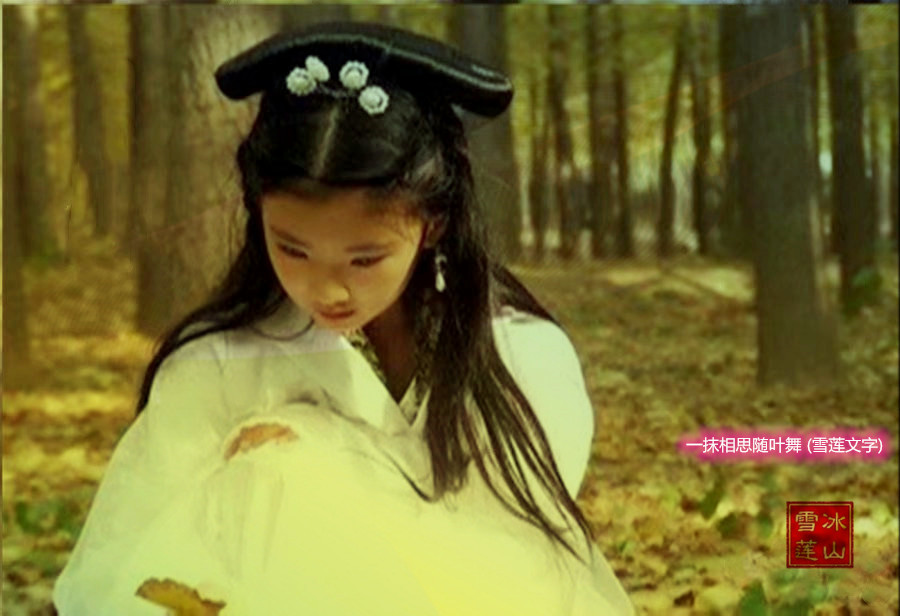 һĨ˼Ҷ (ѩ) һĨ,˼,ѩ, ִʫ 114234leeoao4xqx1d6d6y