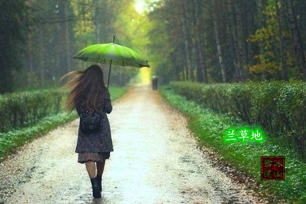 ķ   (ѩ) ,ѩ, ִʫ 114528o071z1owgw2iiqzi