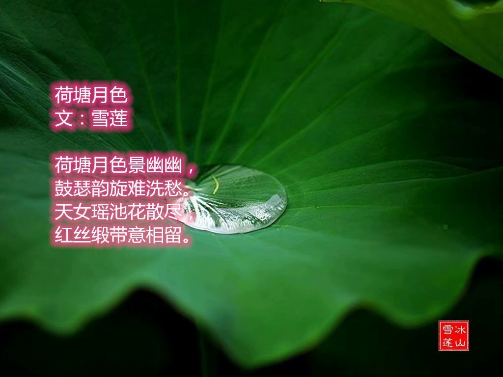 ɫ 1  (ѩ) ɫ,ѩ, Ͻ 121125e8du6fmj666fmpm3