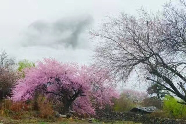 ɽС ɽ,С ɢ 193637wdhv13p1p7o37x77