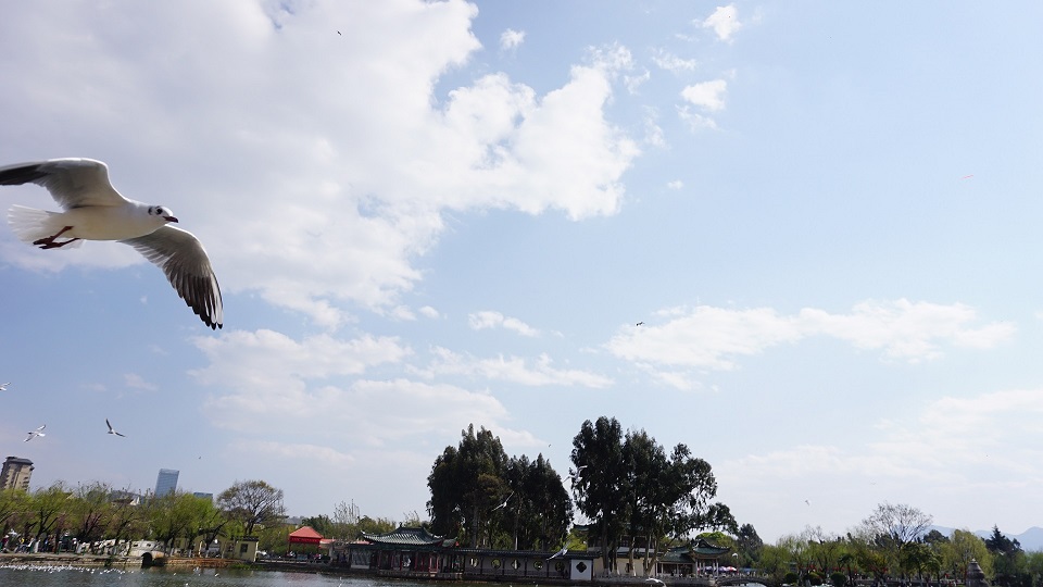 Сҥʫ ҥ,ʫ ִʫ 132826c9upuxufihfrrlig