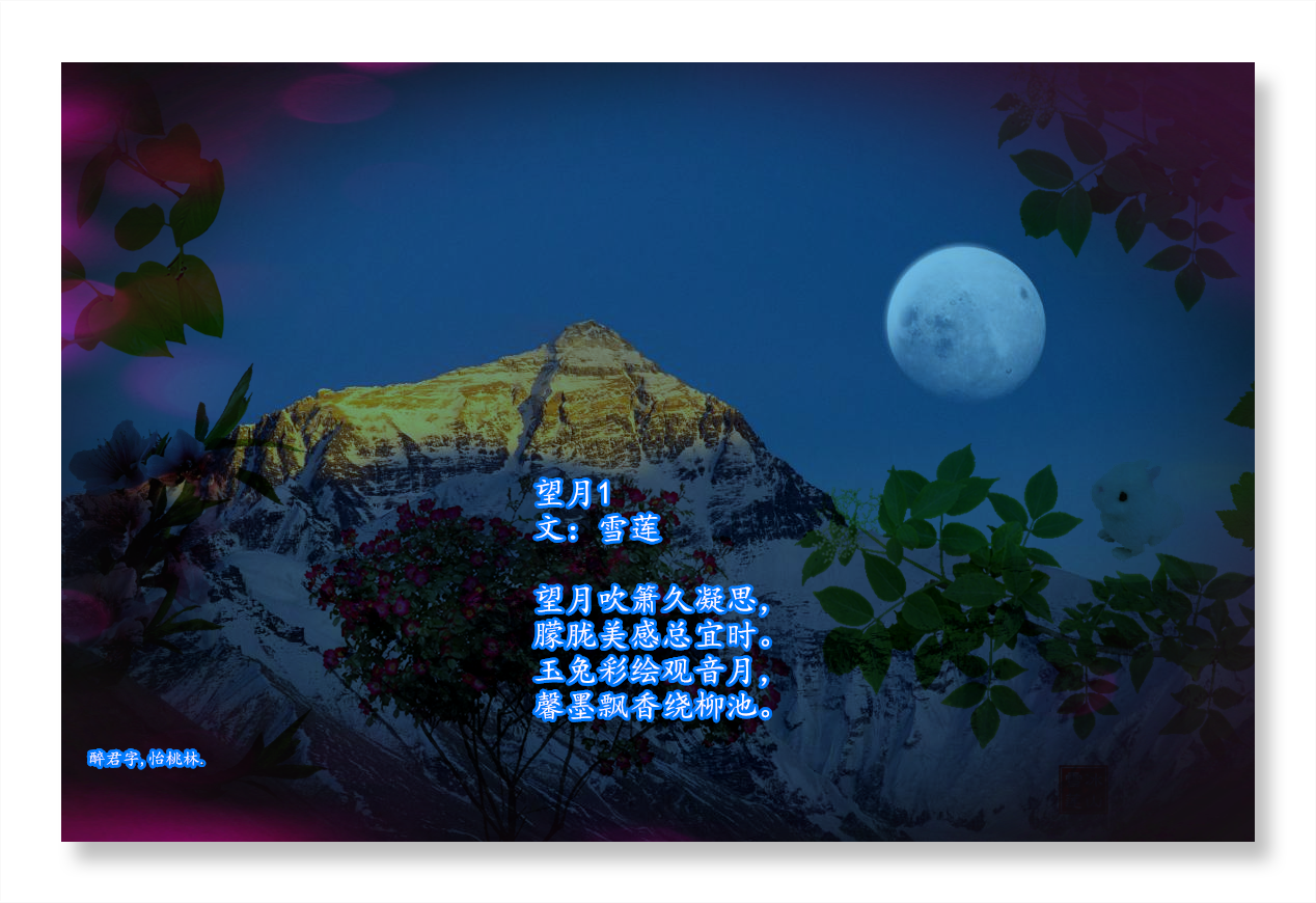 1 ѩ֣ ,ѩ, Ͻ 003213t82abs38b3pby8ky