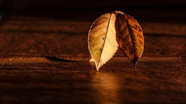 һãã ,һ,,ãã, ִʫ 191800ip5lpdc4cxp0epp7