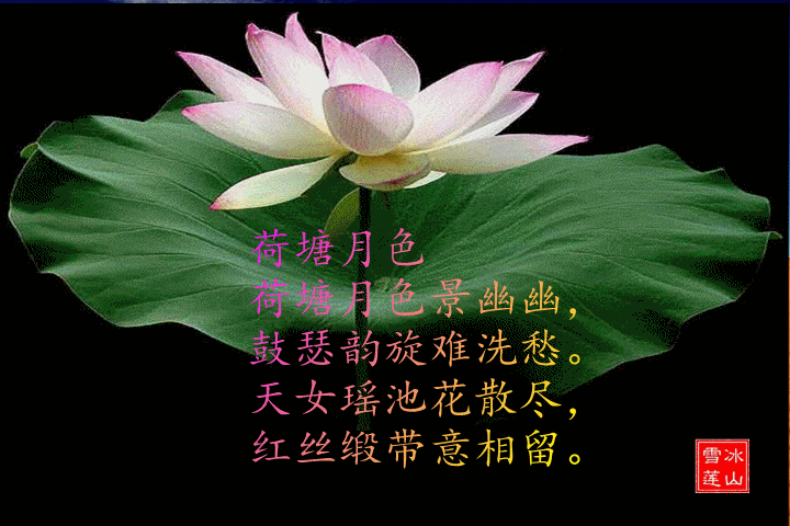 ɫ 1ѩ֣ ɫ,ѩ, Ͻ 001604f7779vgi0o9xnk0g