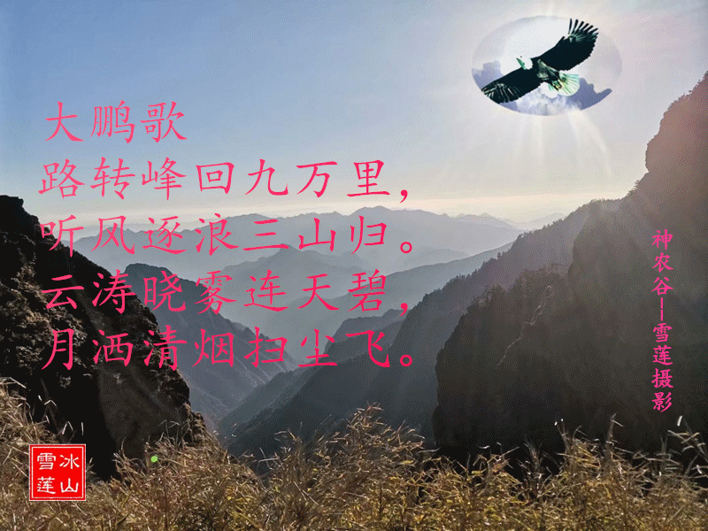 ׷   ѩ֣ ׷,,ѩ, Ͻ 135948m481if8v1f1ftdf1