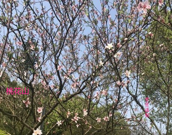 λС˭ λ, ԭ׷ 202432l4dpuxd5d94636bd