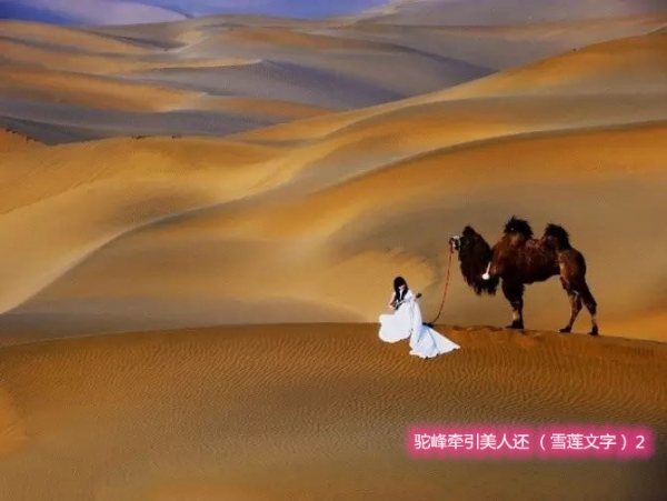 շǣ˻ 5ףѩ֣ շ,ǣ,,ѩ, Ͻ 143455b1xtmexaf1myrk21