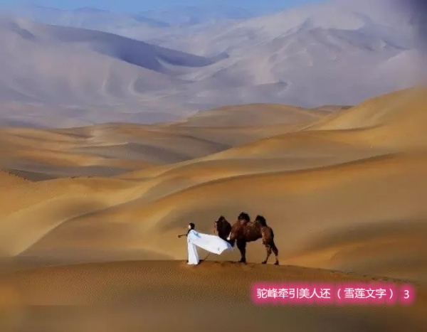 շǣ˻ 5ףѩ֣ շ,ǣ,,ѩ, Ͻ 143455exxbcivigtd677dx