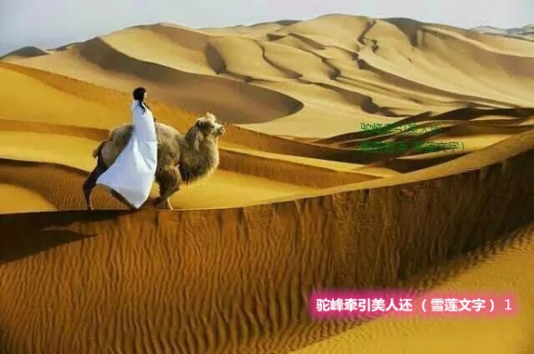 շǣ˻ 5ףѩ֣ շ,ǣ,,ѩ, Ͻ 143455rq7gozgeewsnt6tk