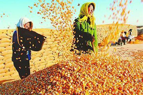 ҵĺ֮һ ,ҵ,,ĺ, ɢ 171508vf115ikwbw0zi5z0