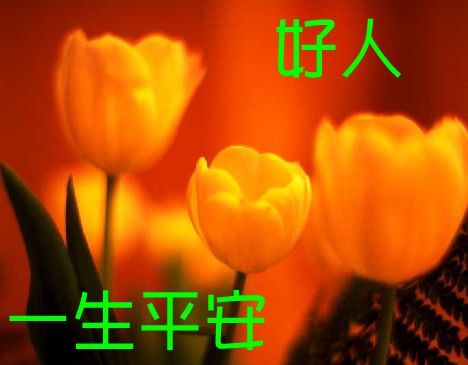 һƽ ټļ䡷 һƽ,һƽ,ƽ,ټ, ɢ 172812tfz4r21w4uzitg24