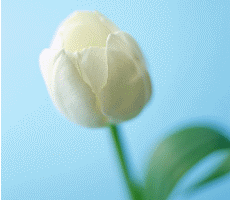 ɣһ ͥˮ ,,ͥ ִʫ 174057e1df1fdkuq9xyrtr