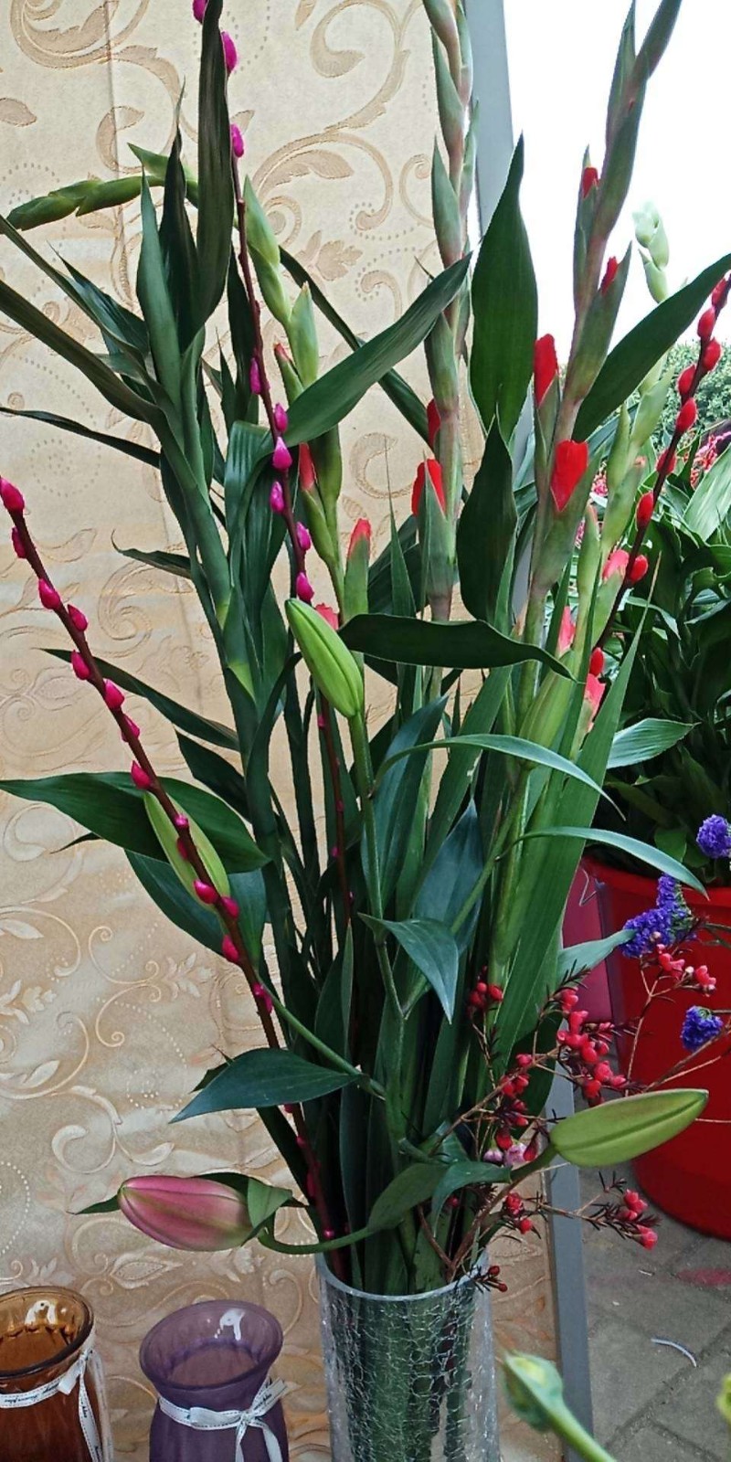 2020.ǰƪ֮ ,ǰ, ԭ׷ 231330nueuy3t6943m58u6