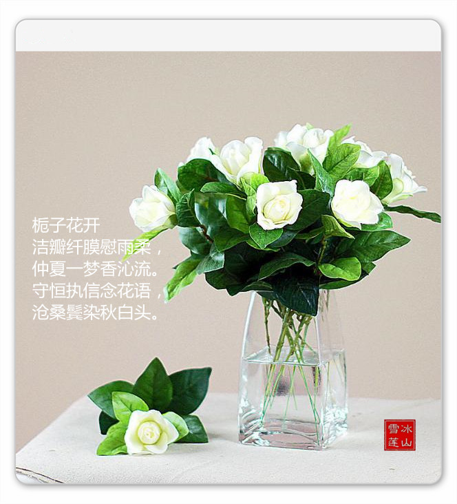 Φӻļ  ɢ 140830gr5vu6dz5j3psclv