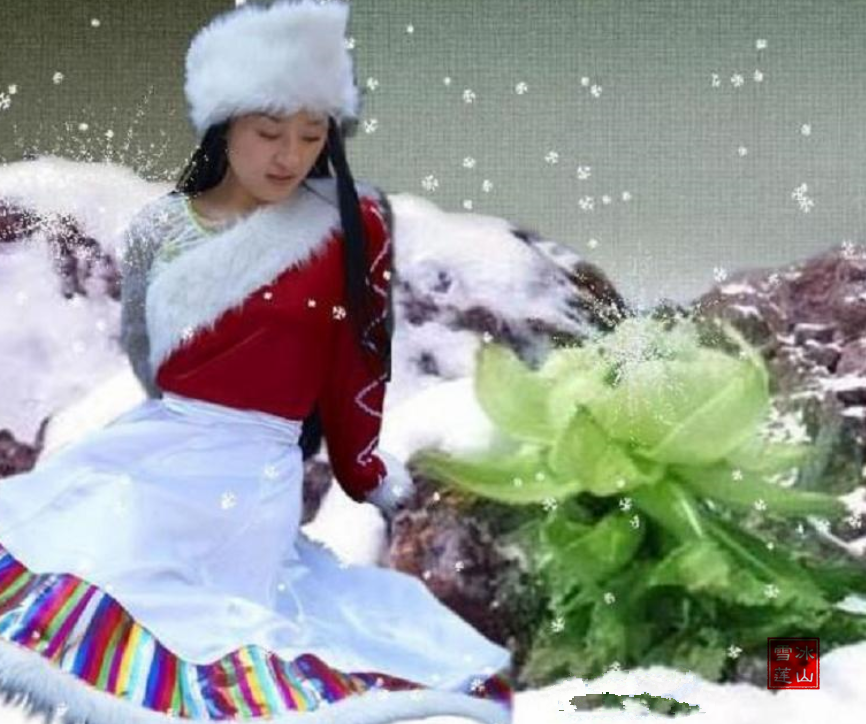 ط磬ѩ ,ѩ ԭ׷ 151725sjjzlvbv3yz8v6n8