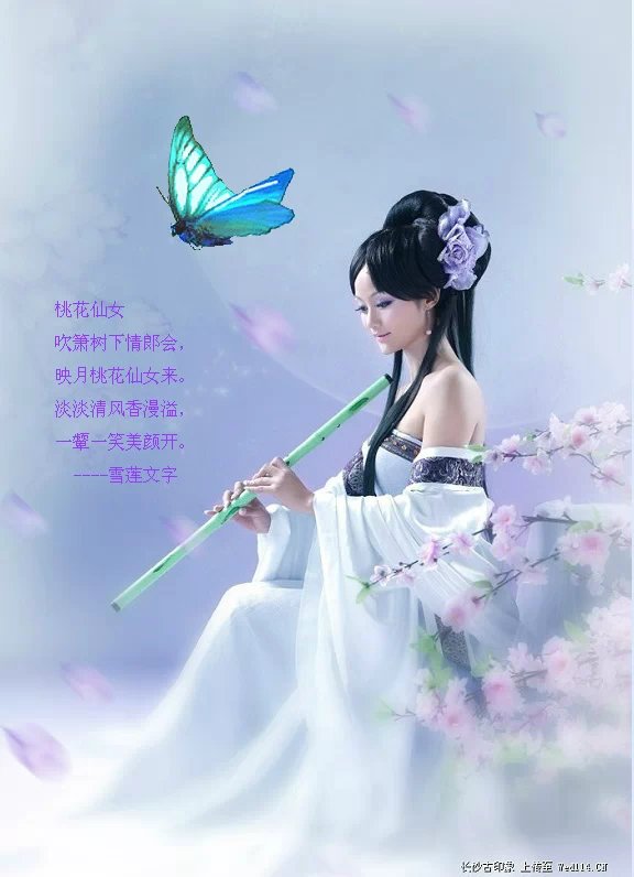 һŮ  Ͻ 171633rdd1r44xx4217wdj