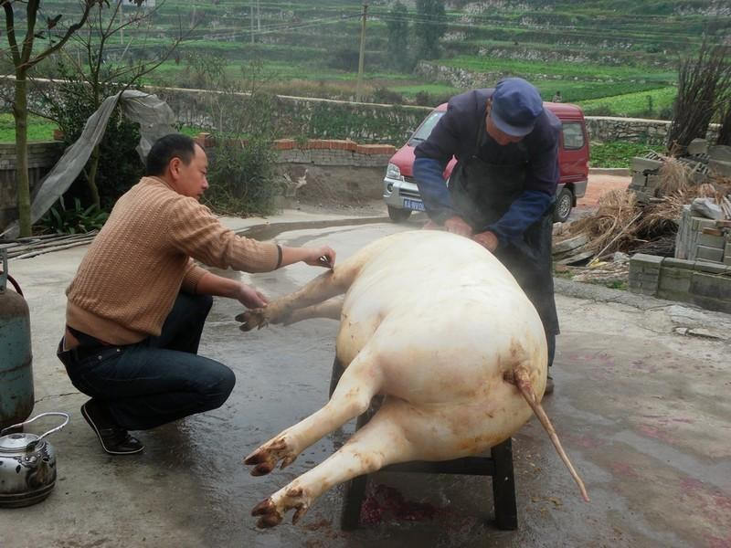 ɱ ɱ ɢ 090421yiug4gih15hmk4y4