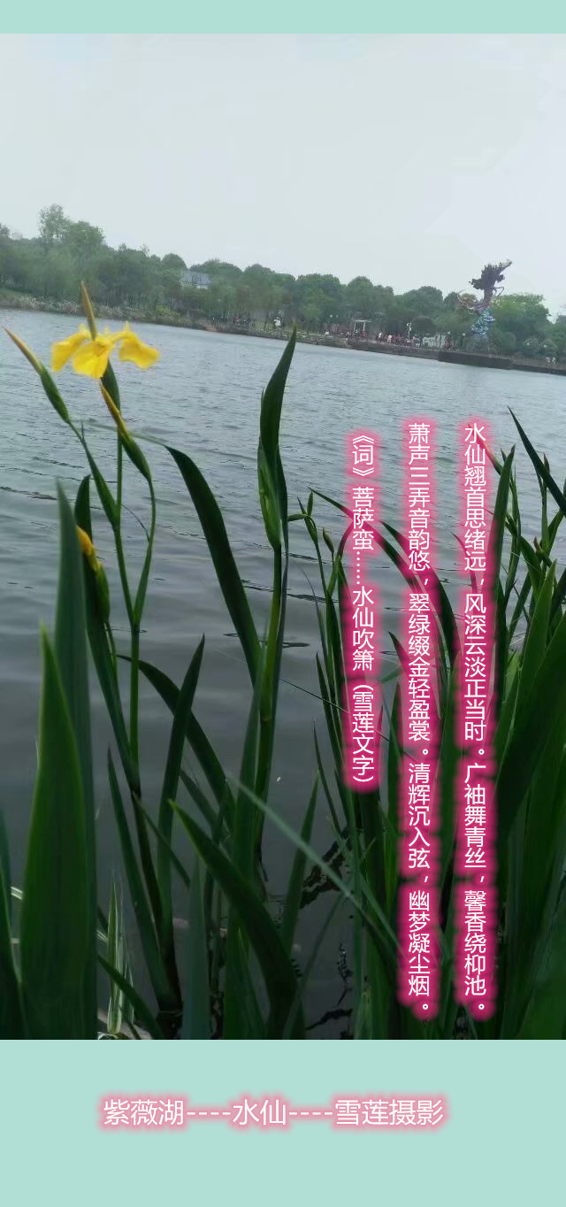  . ˮɴ ,ˮ, Ͻ 003029fgecz1111140el7o