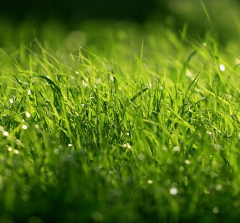 ߾ . С һף ߾,С,һ Ͻ 215023ubm9h6lhbzhrxh1b