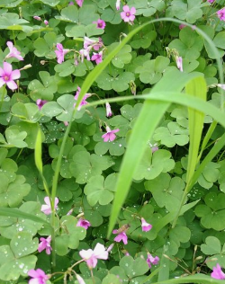 ߾ . С һף ߾,С,һ Ͻ 215355jnnrxwlwbhqz18up