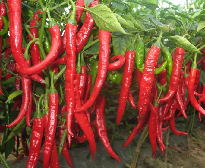  . Сף ,С Ͻ 222521qjwrf21qswrjjqrl