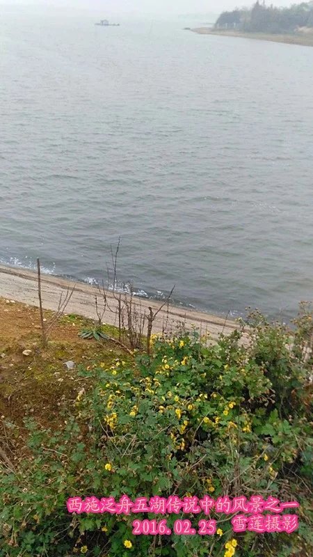 ʩɴԽΣ2 ʩɴ,Խ Ͻ 235108v7j5juefejf5e75z