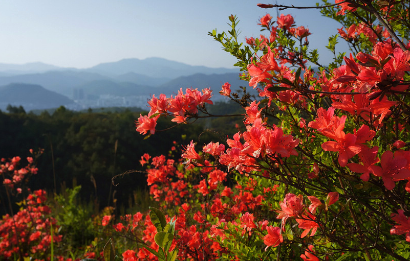  . ޡ׷ɭԣ» ,,׷ɭ,ԣ» Ͻ 011356hokpkk3w4wlzf36p