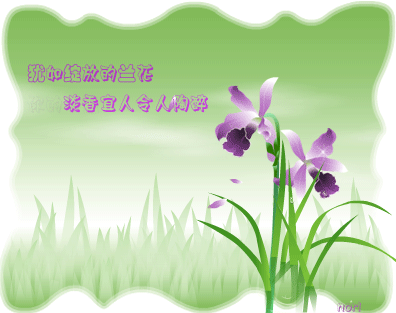 Ʈ ,Ʈ Ͻ 175120m9cah284882m9ndt