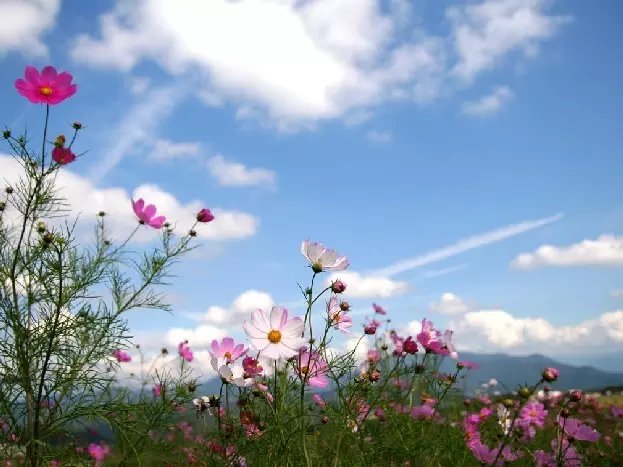 ˮ֮ ˮ,֮ Ͻ 200633dui7inkr15b7d1yb