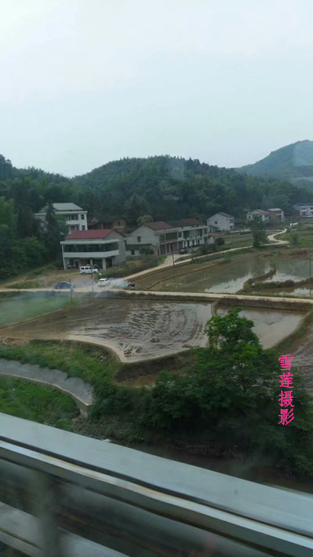 Ұ---- ѩӰ⻭ͼ Ұ,ѩ,Ӱ Ͻ 214410b2uuk9eautrl2uzc