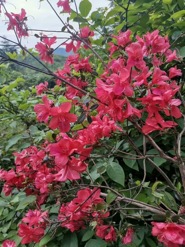 Ů Ů Ͻ 215420zvjqp8pfuurbqaa0