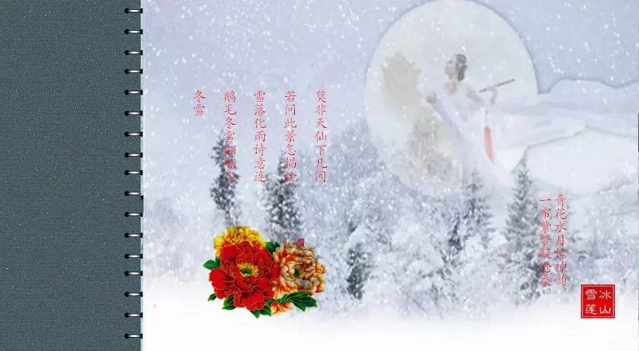 ѩ ѩ Ͻ 002407o445a5jc55zaaiu5