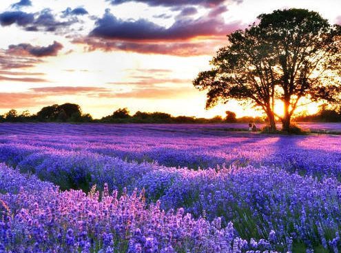 ߾ . ˹޼ ߾,˹޼ Ͻ 004114e88b0capzv6hvch6