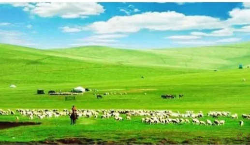 ʫ----ɿкˣף ʫ,ɿк, ԭ׷ 230811cz2ss9jrqyqdqvjd