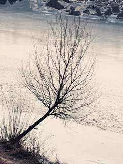   ִʫ 175416fcy2mccf3qwdaeaw