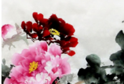 й  ף  ԭ׷ 223320l1lbe70lkdgh372l