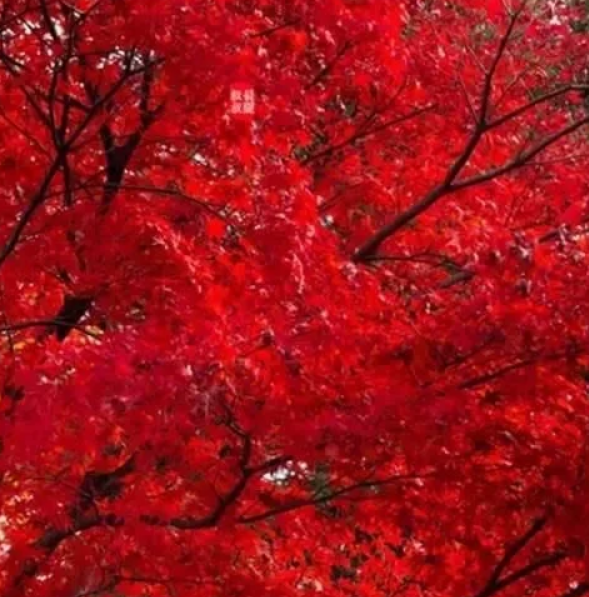 ʫ----й죨ף ʫ,й ԭ׷ 014435ktzmx64bcqytguby