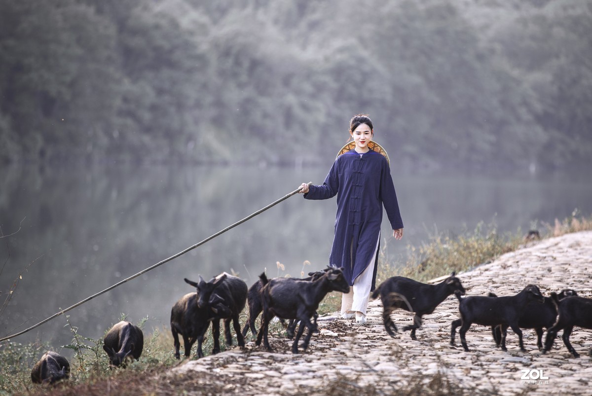 ҪȺĿη Ⱥ,Ŀ,,η ִʫ 222524tegxeiexhgb1rgpb