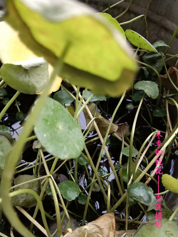 Ϫɳ . ﻨͭǮ Ϫɳ,,ͭǮ Ͻ 234747ynrjd9zsjs1d3vd8