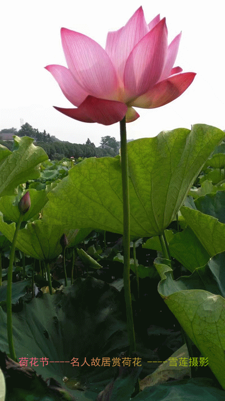 ߾ .  ߾ Ͻ 235526tr7avnpkxrunkg9v