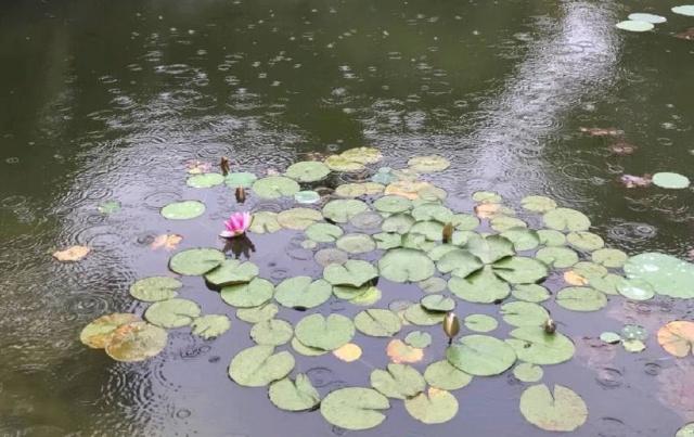 ߾.ĮػãȻ ף ߾,Į,ػ,ãȻ Ͻ 013542ncu6134jb46465c3