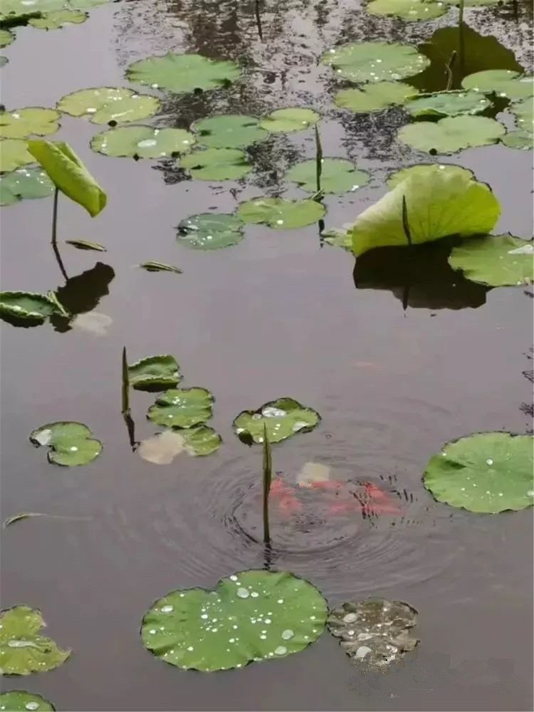 ߾.ĮػãȻ ף ߾,Į,ػ,ãȻ Ͻ 013550ulsb8vvdx438tbzh