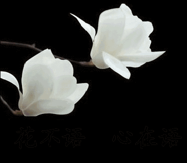 ڵǰ ,,ǰ ִʫ 192241t671676arhru4khu