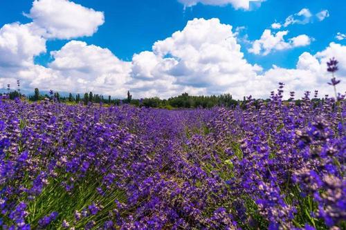 ޹²ݣף ޹² ԭ׷ 225414s881uqir8xhii8y7