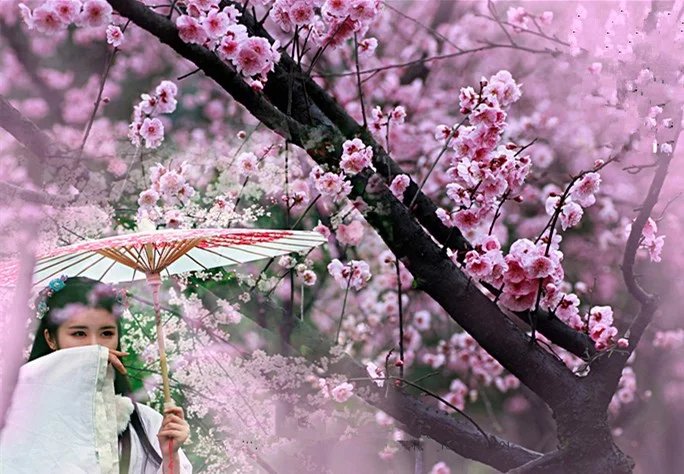  . ػ ػ, Ͻ 004723frjrfaqijlvibvlj