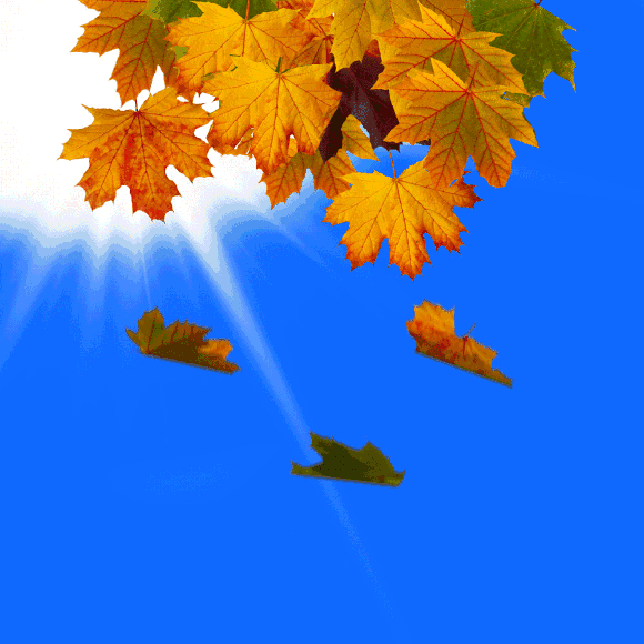 һƬƬҶ||ߣ ,,һƬ,,Ҷ ִʫ 200016ykvs25a12z55k5hv