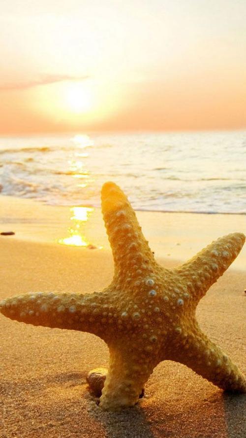 껪 ,껪 ԭ׷ 220739vzdk5kqdjmdzdu35