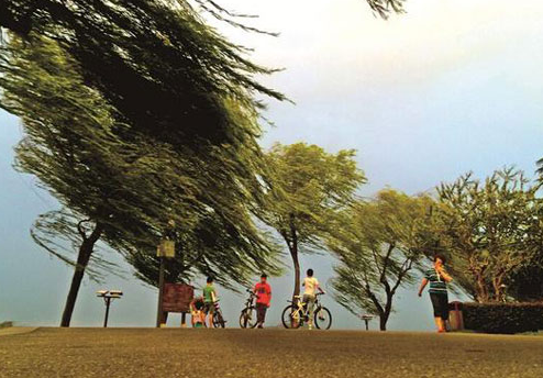 ʫ衿һһЩ ,ʫ,,,һЩ ִʫ 112008uznf56wmmn6f6nns