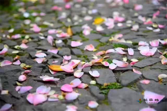 һʢĵط ĵط ƪС˵ 155632gknl471vmtznkkk7